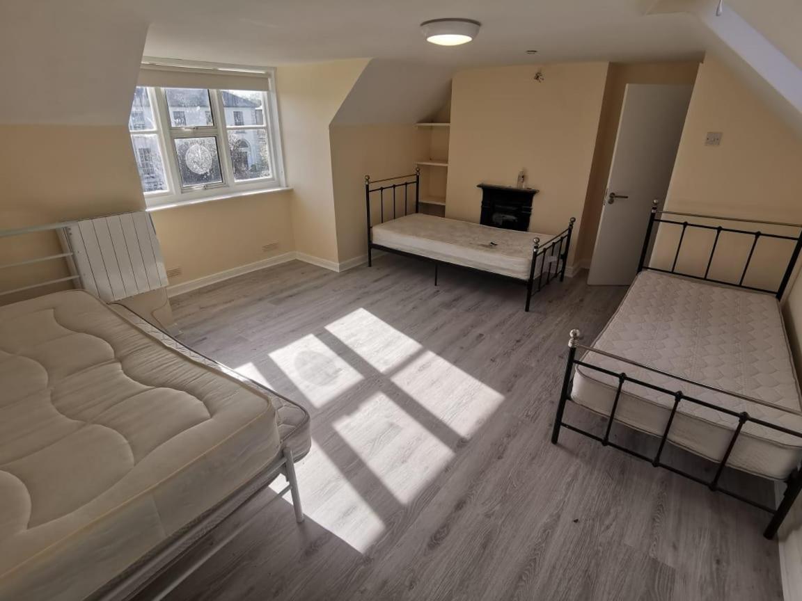 Homestay Palm Dublin