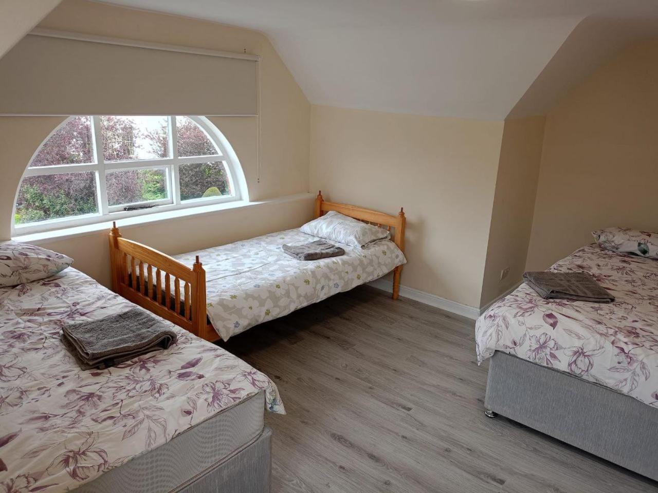 Homestay Palm 2 Dublin