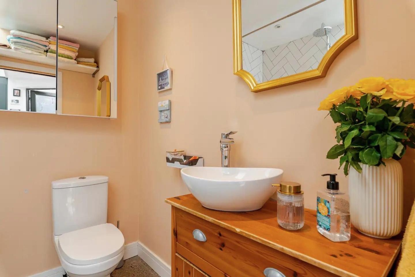 Cozy In Stoneybatter, Homestay *