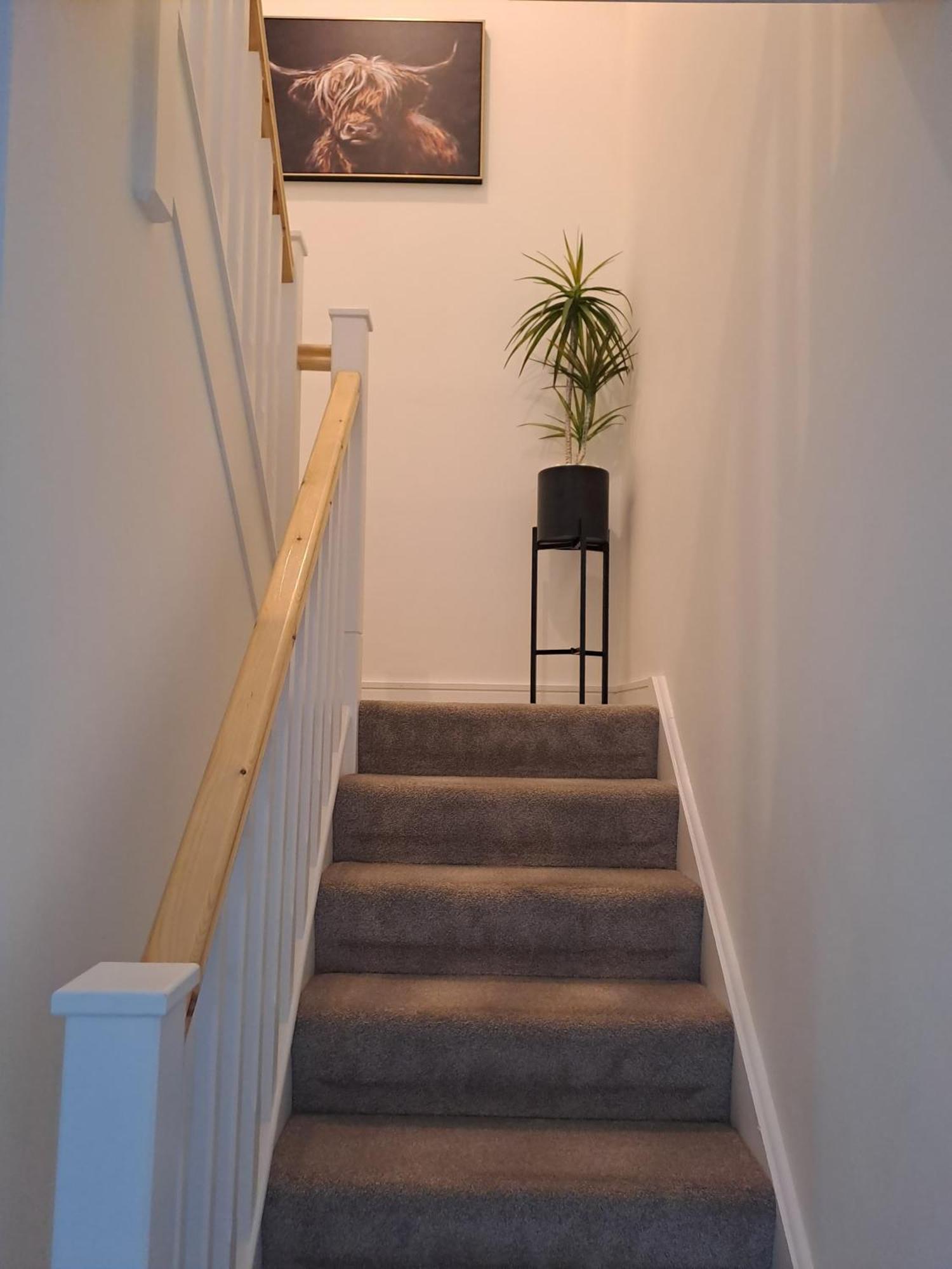 Cozy Bedroom In Lucan, Homestay Dublin