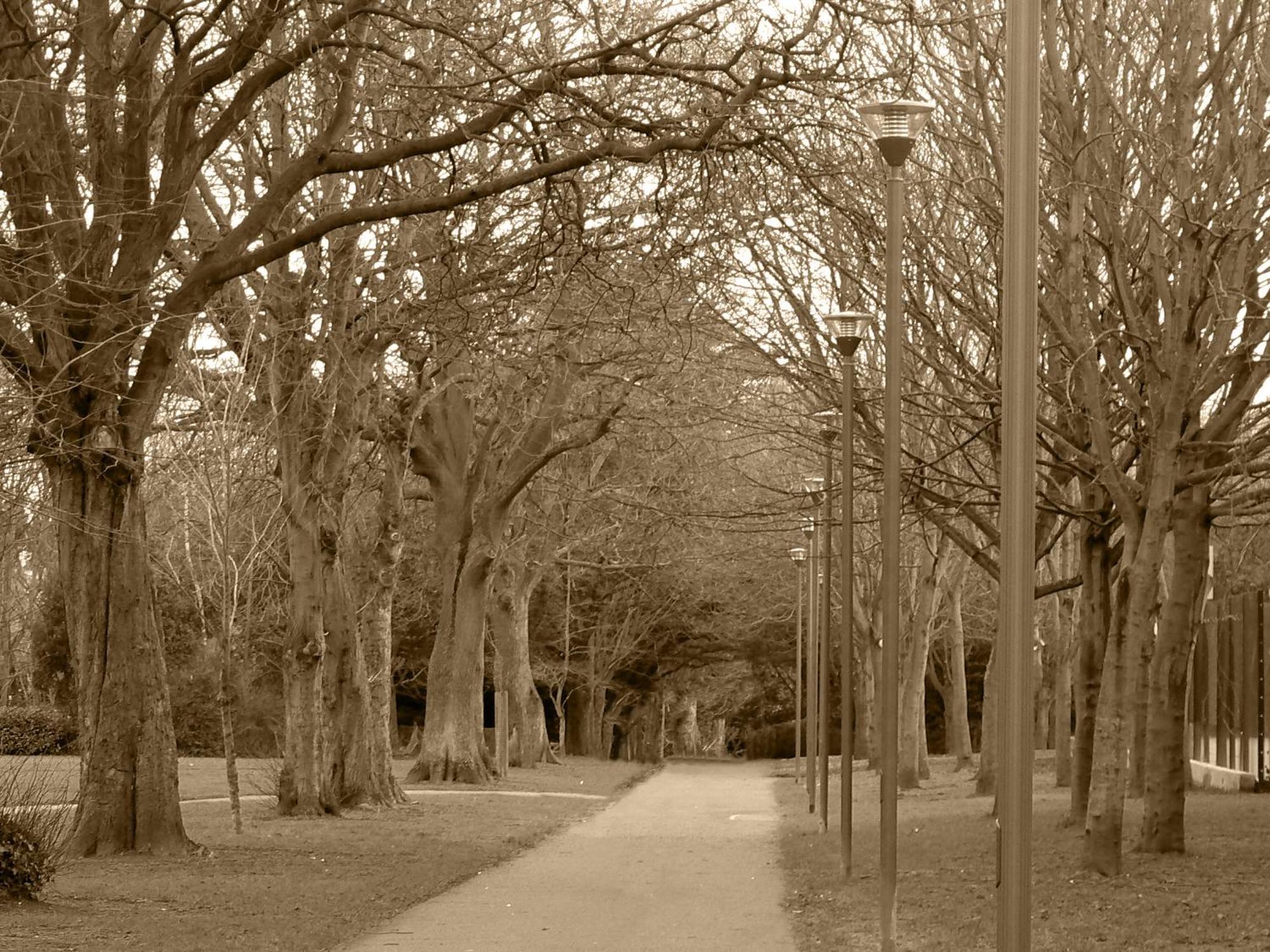 Dcu Glasnevin - Campus