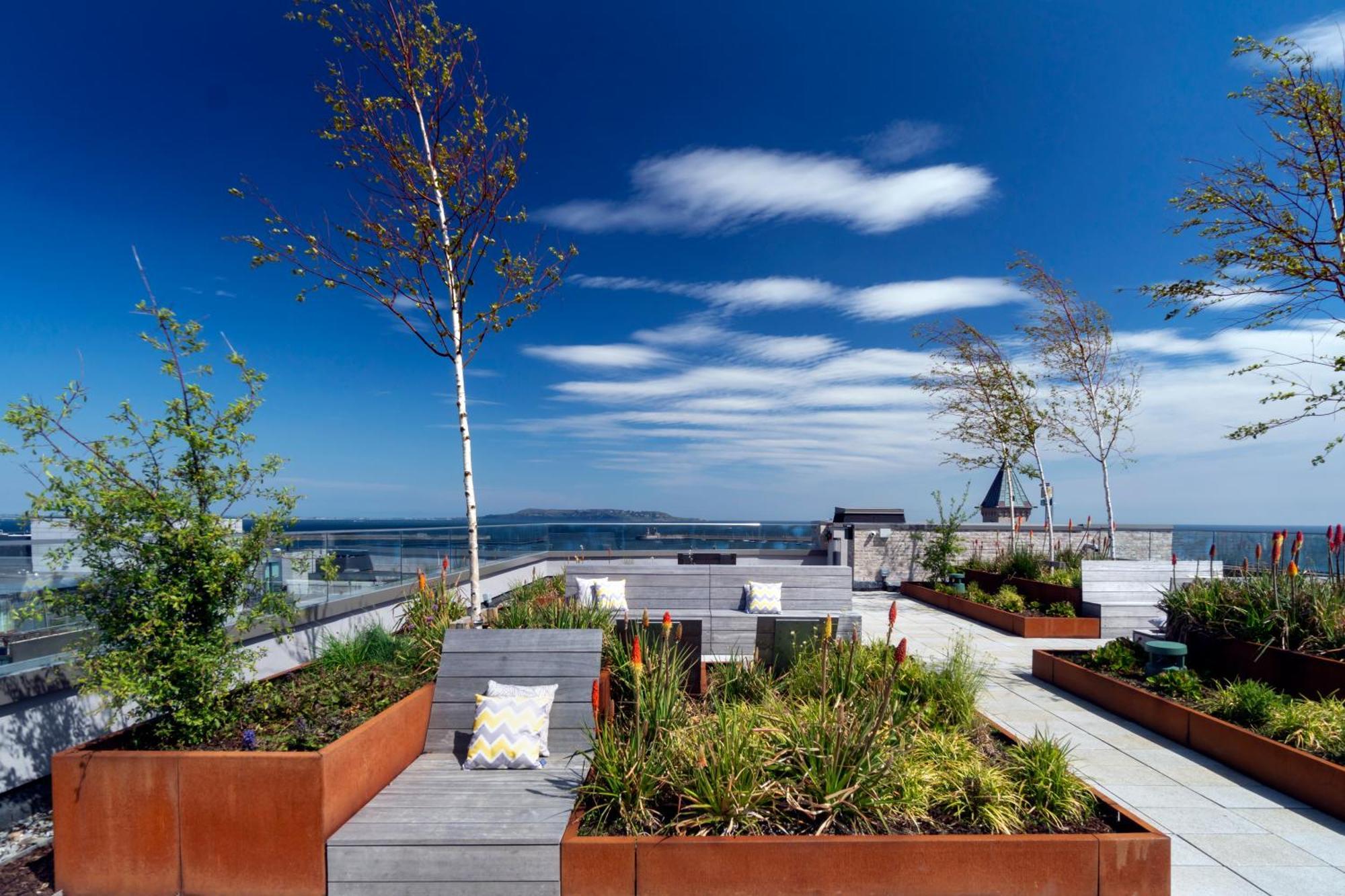 Niche Living - Dun Laoghaire *