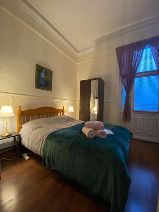 Spacious Victorian Flat * Dublin