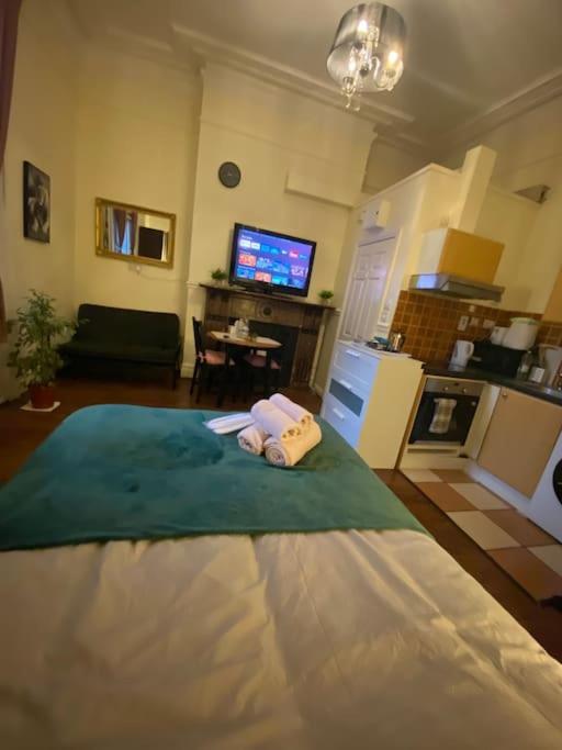 Apartment Spacious Victorian Flat Dublin
