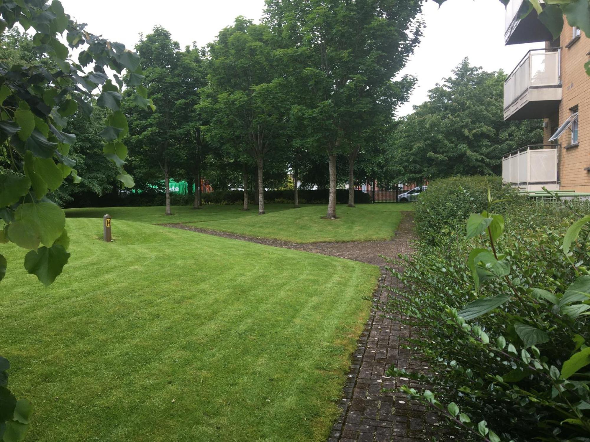 Spacious 3 Bedroom With Parking *