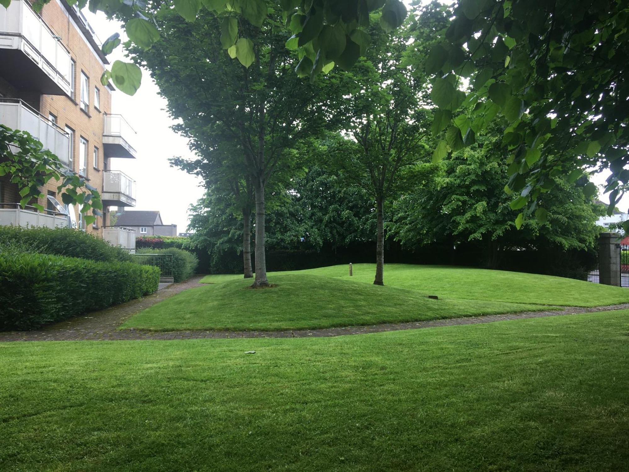 Apartment Spacious 3 Bedroom With Parking