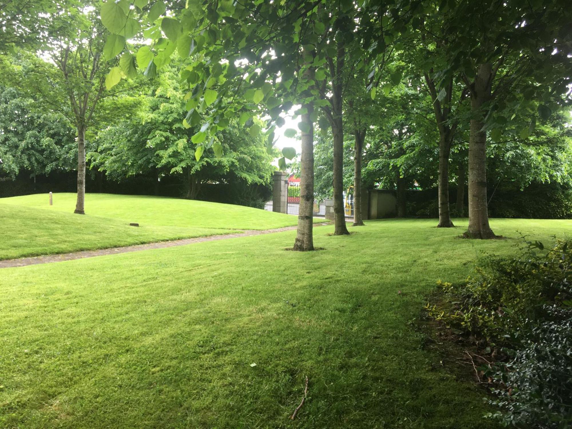 Spacious 3 Bedroom With Parking * Dublin