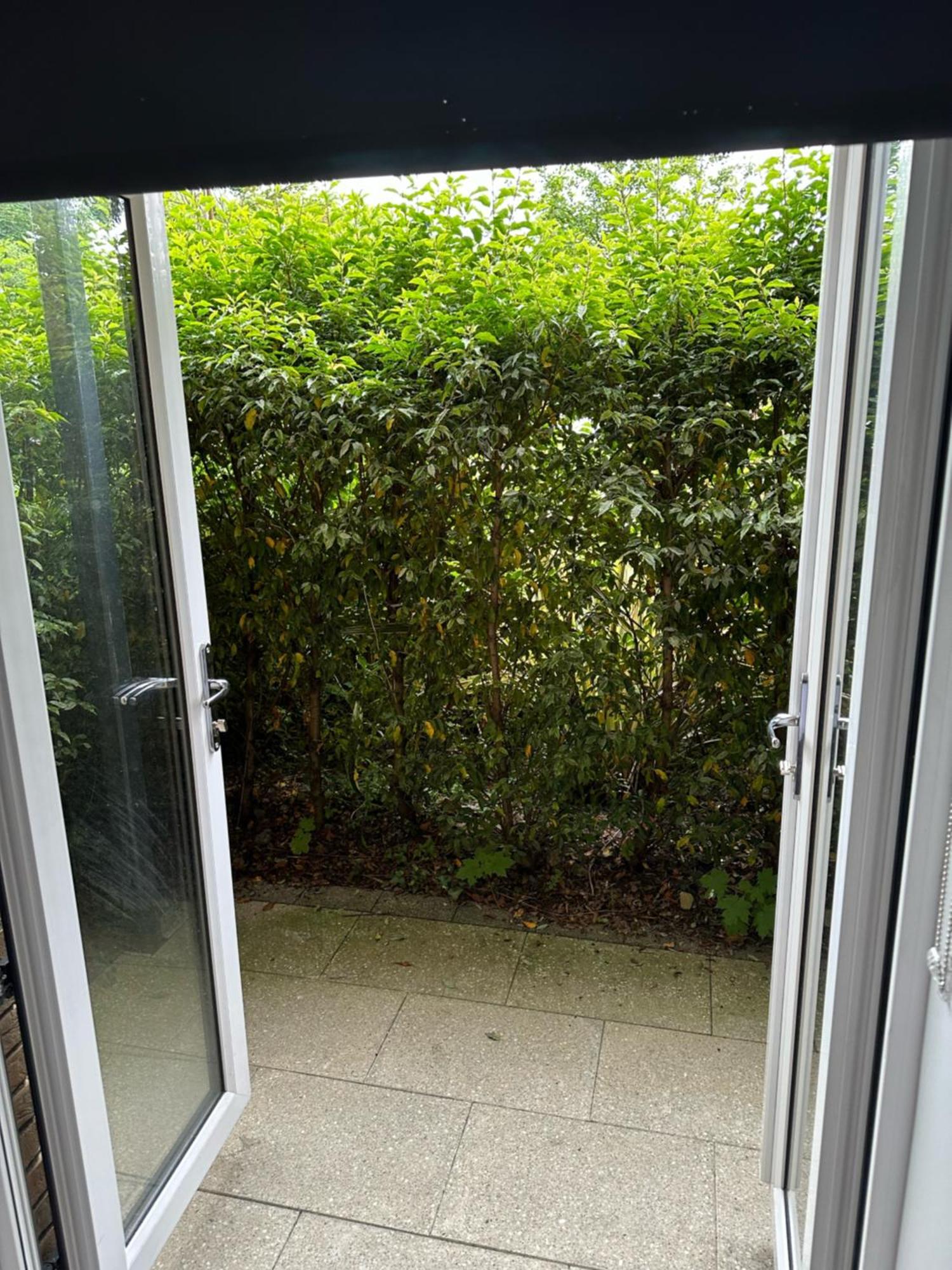 Bridgefield Santry 9 *