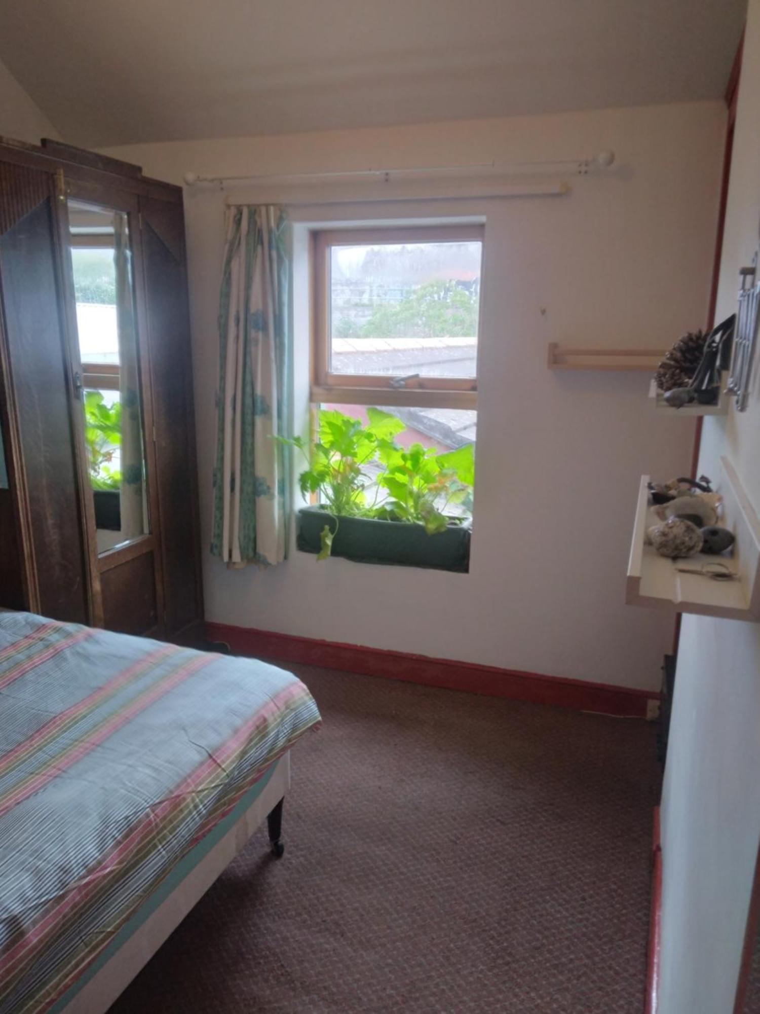 Homestay Red Brick Victorian House Next To Croke Park Stadium *