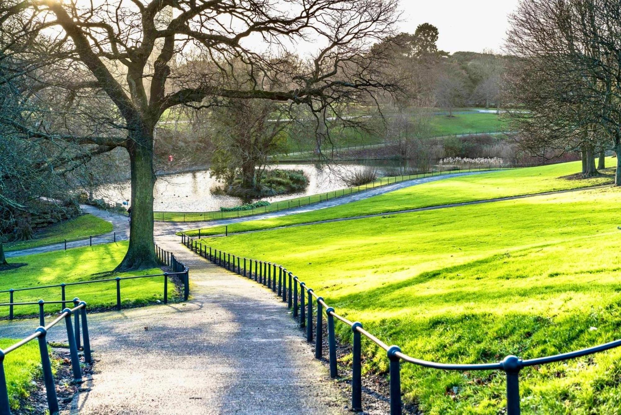 The Garden Luxe Retreat Accommodatie bij particulieren Dublin