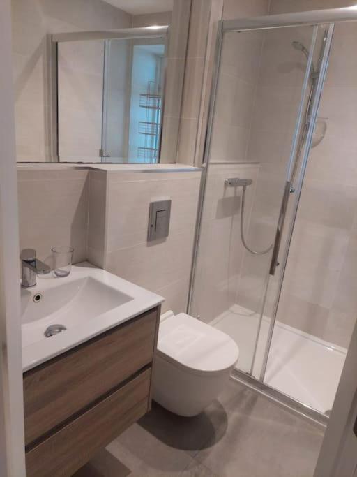 Apartment Luxury In Dun Laoghaire *