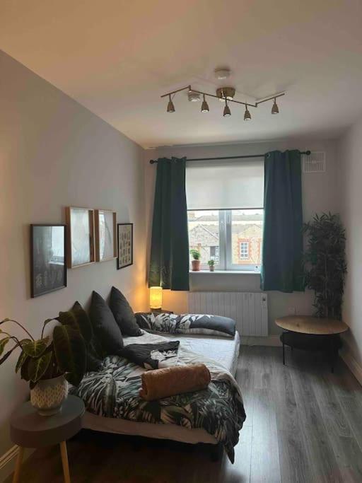 Central 1 Bedroom *