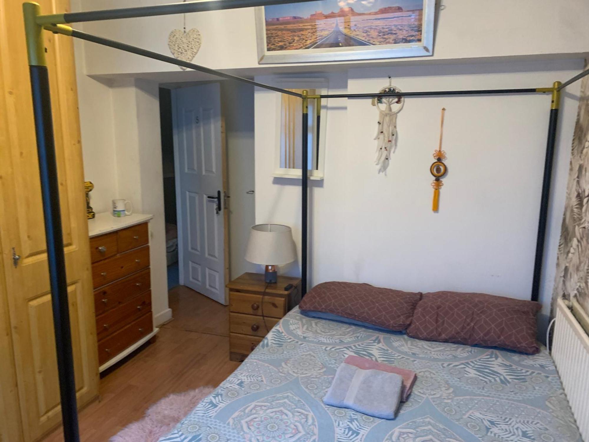 Wake Up With 2 Cats On Your Face Guest house Dublin
