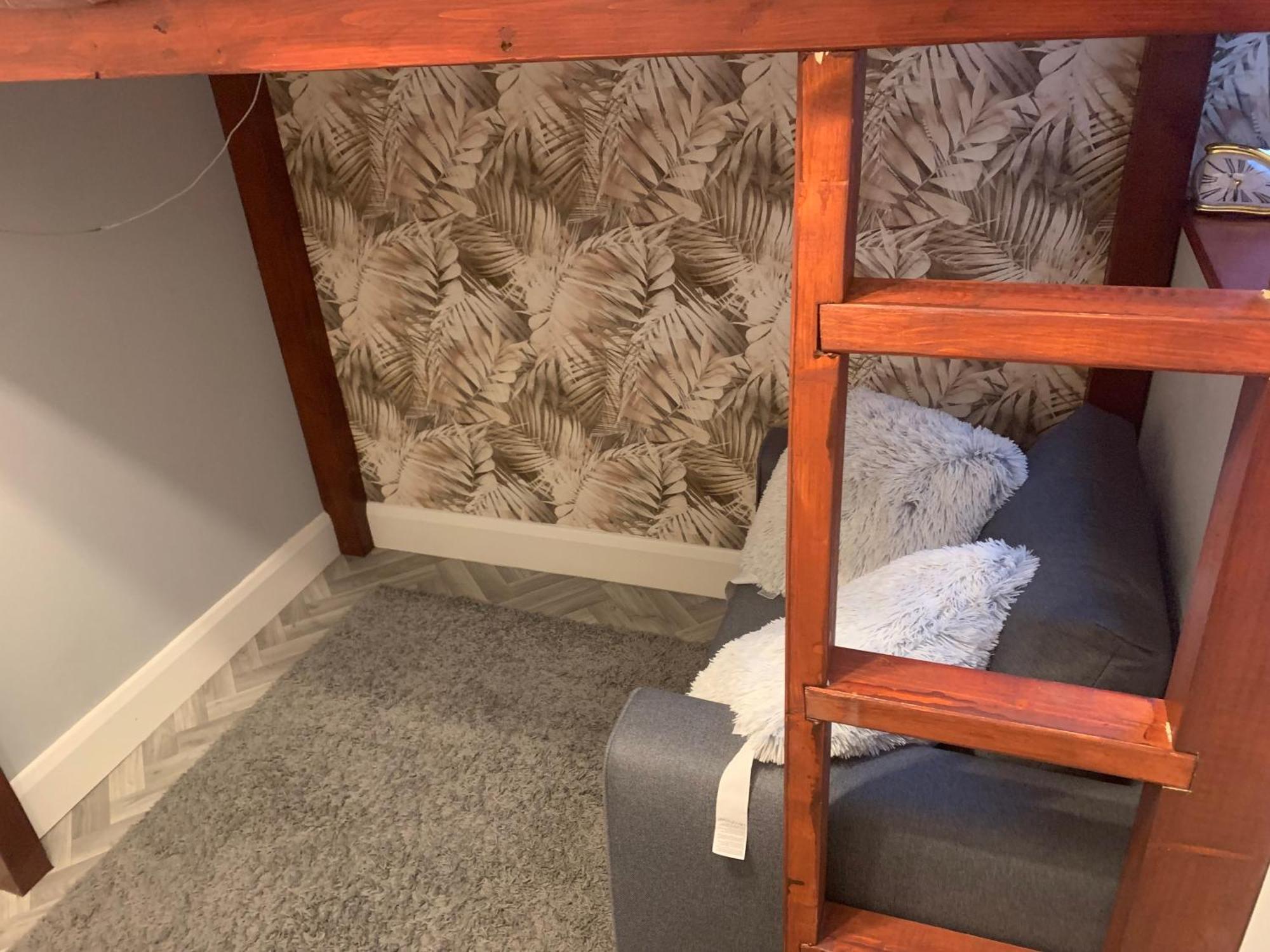 Wake Up With 2 Cats On Your Face Guest house Dublin