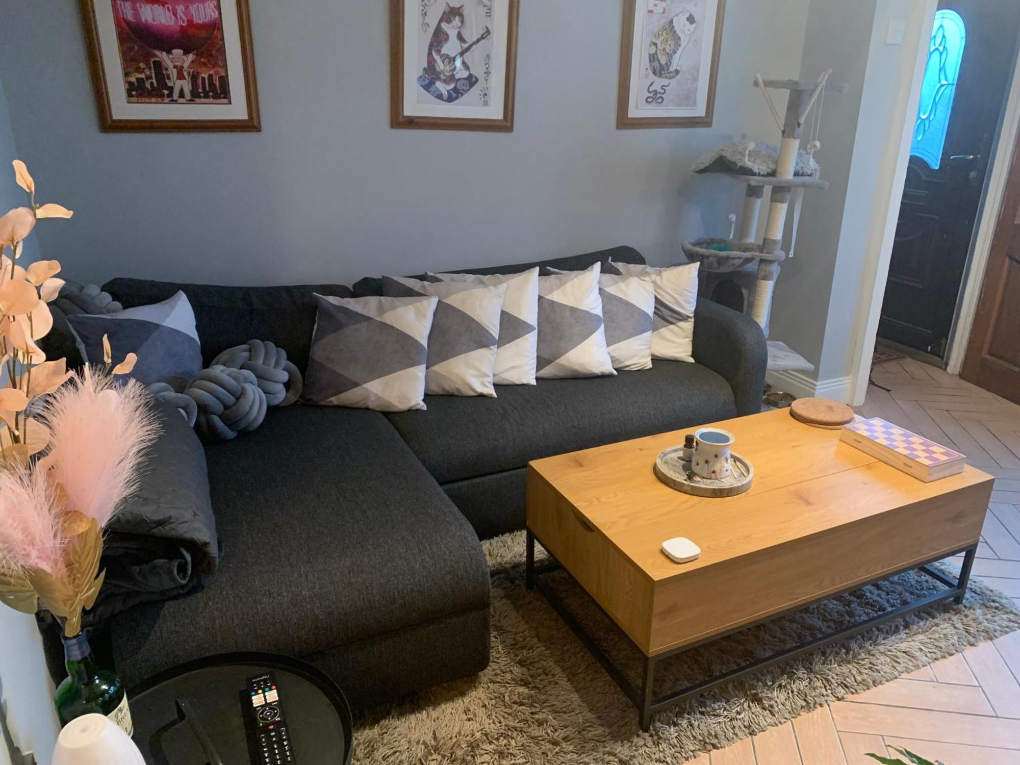 Guest house Wake Up With 2 Cats On Your Face Dublin