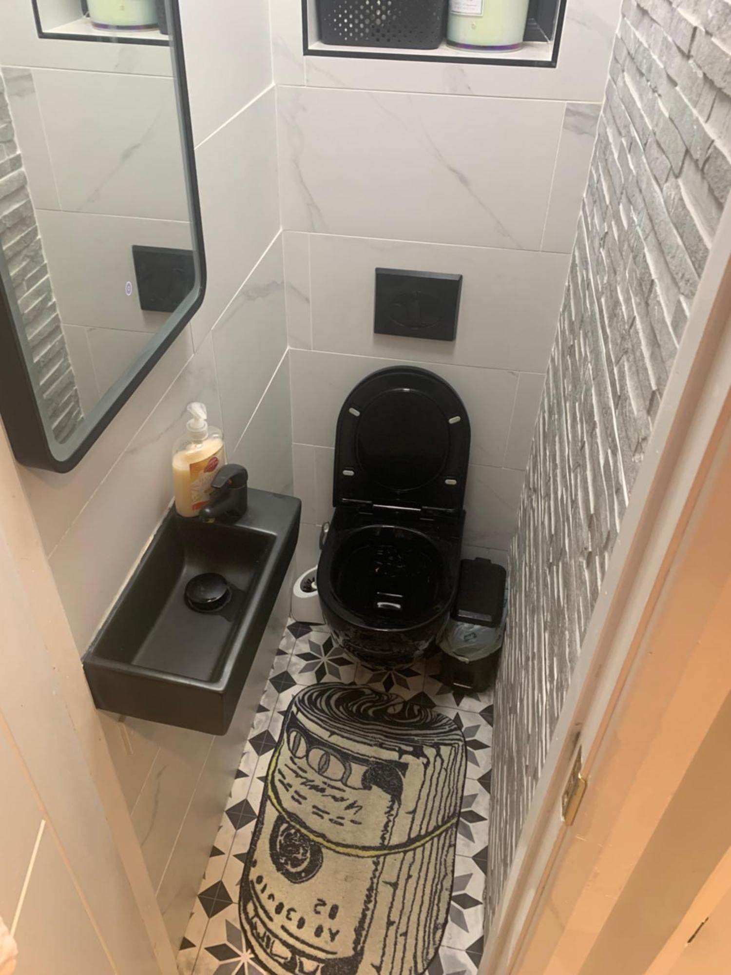 Wake Up With 2 Cats On Your Face Guest house Dublin