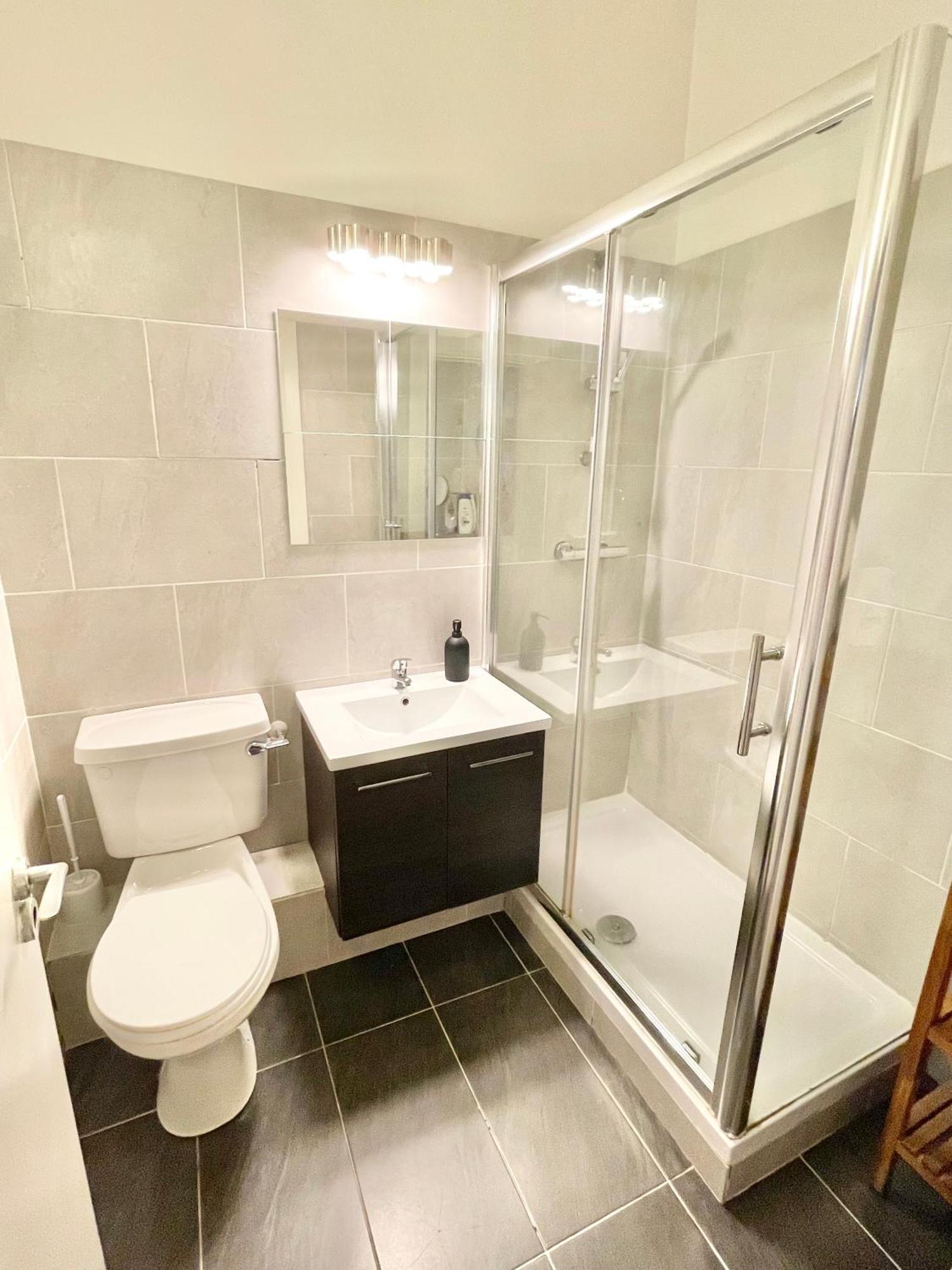 1 Bedroom In Temple Bar Apartment