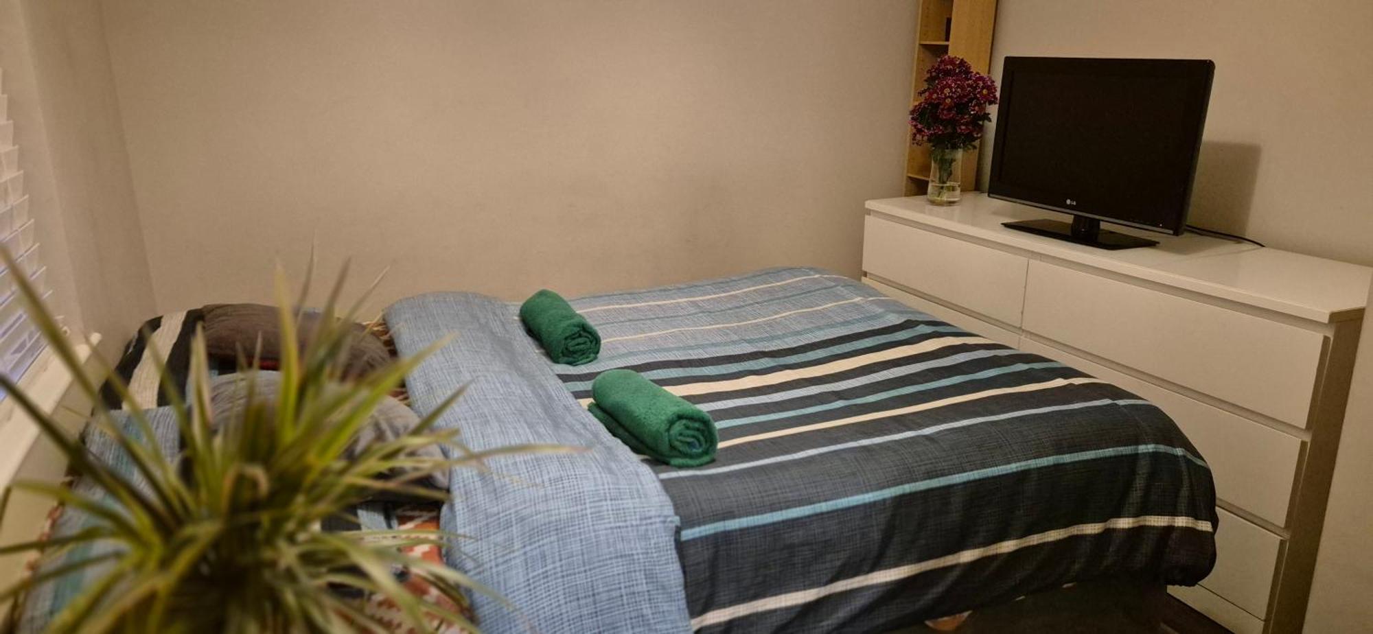 Whole Private Flat - Dublin