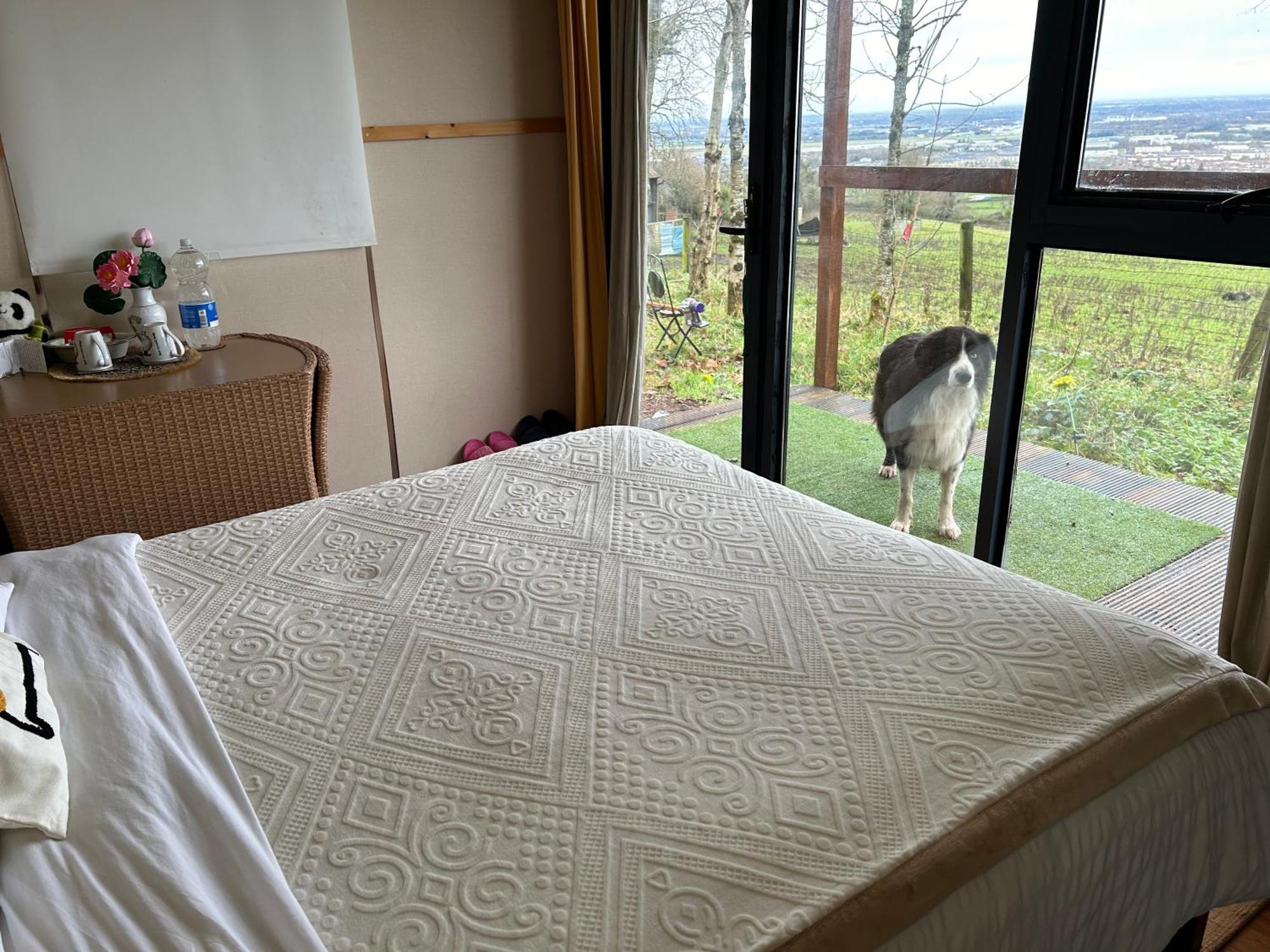 Chalet The In The Woods Dublin