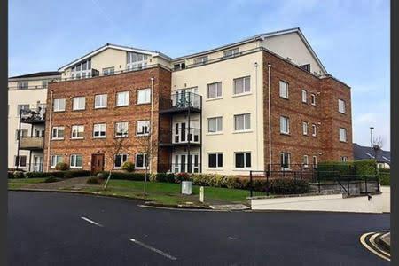Unique Room Close To Tramline * Dublin
