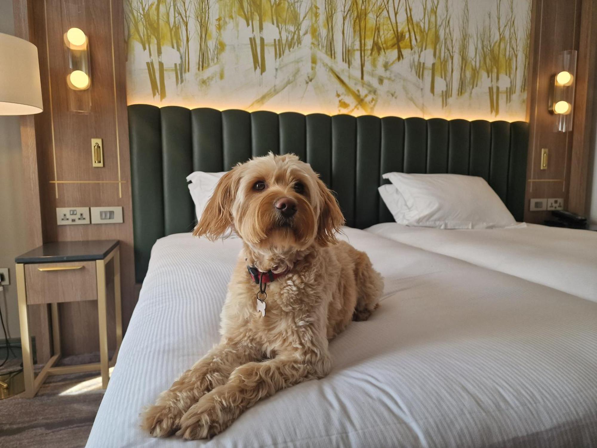 Hilton Kilmainham 4* Dublin