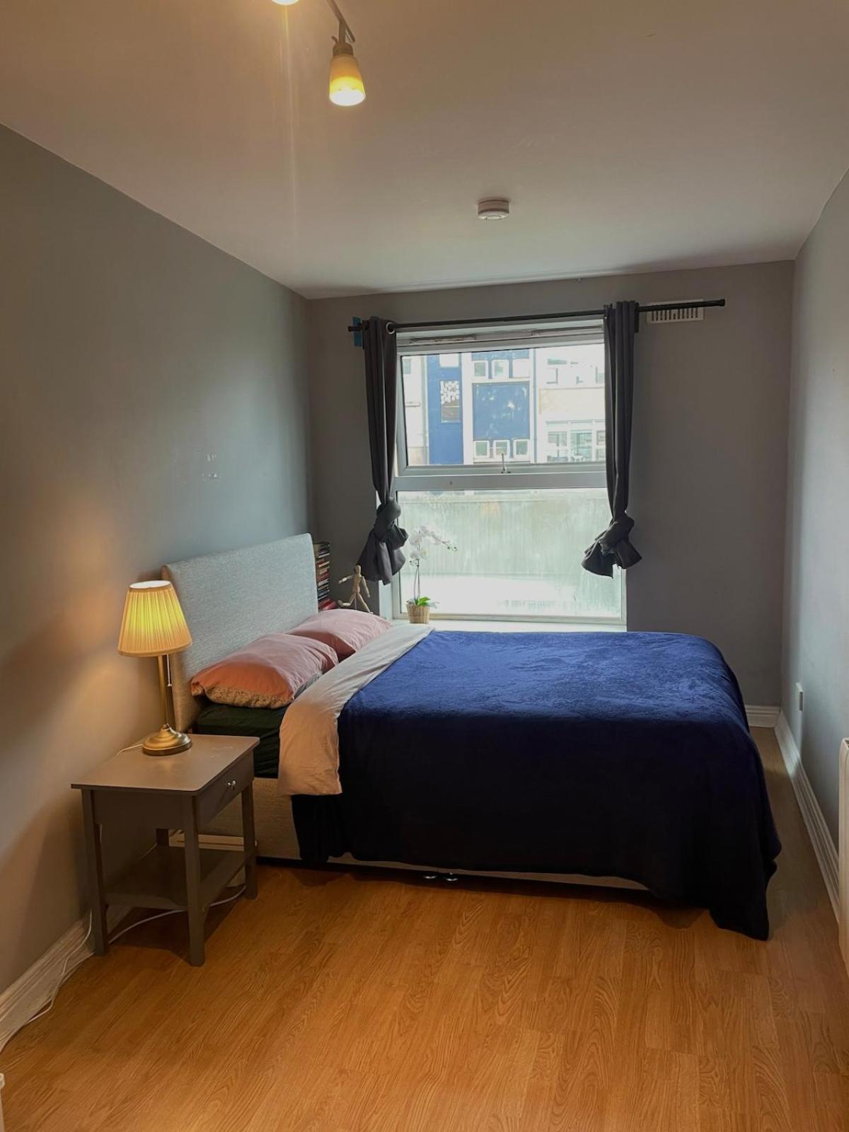Apartment Entirehouse-15 Min Walk Templebar- Free Parking&wifi *