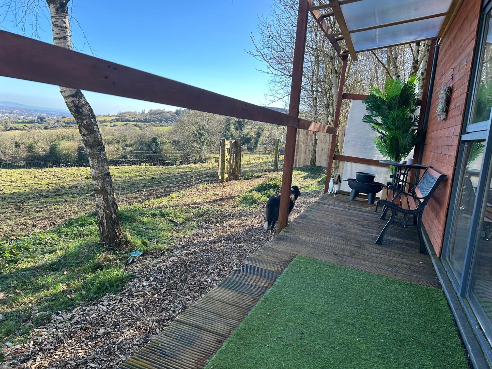 Chalet The In The Woods Dublin