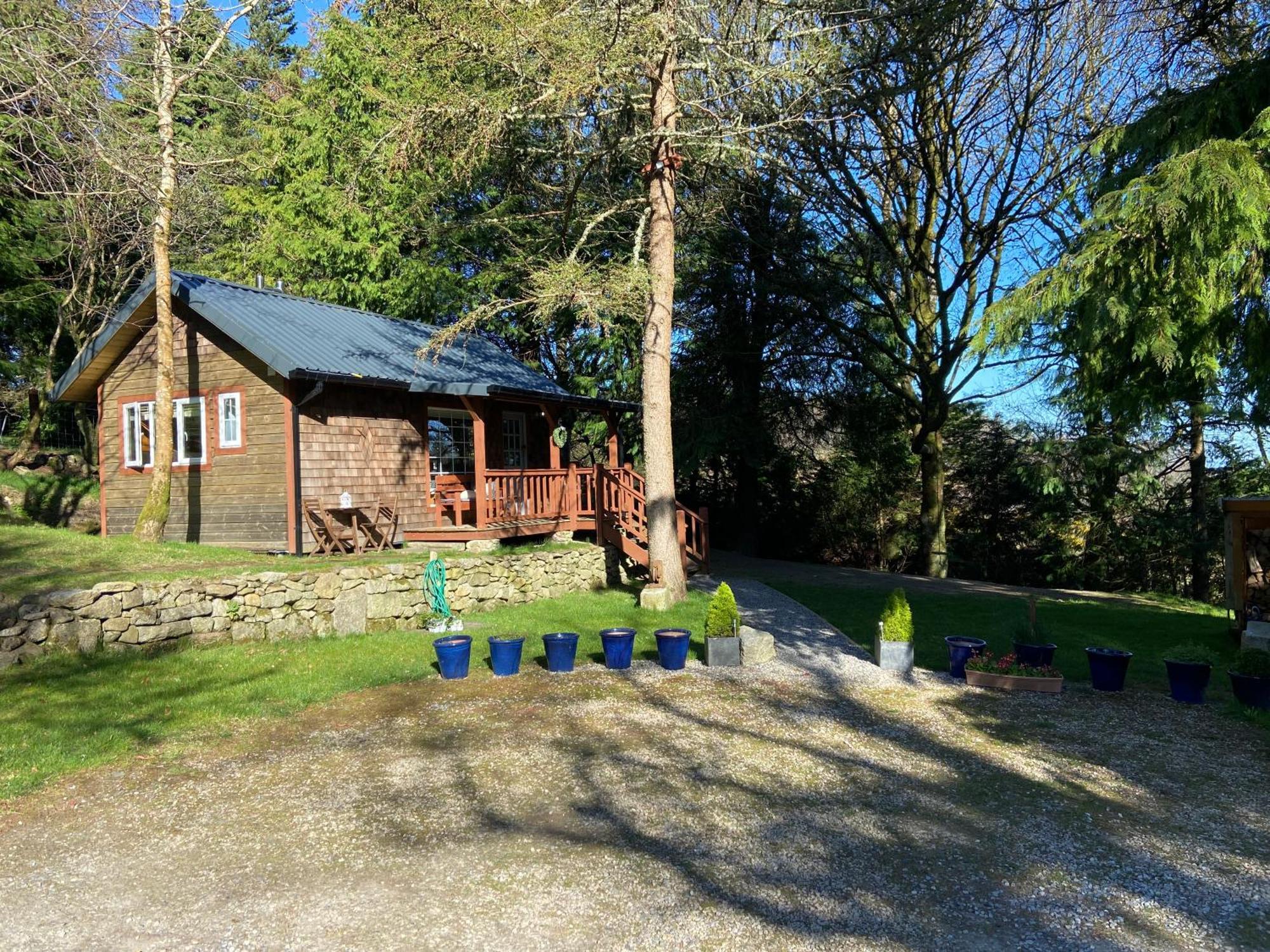 Lodge Willow
