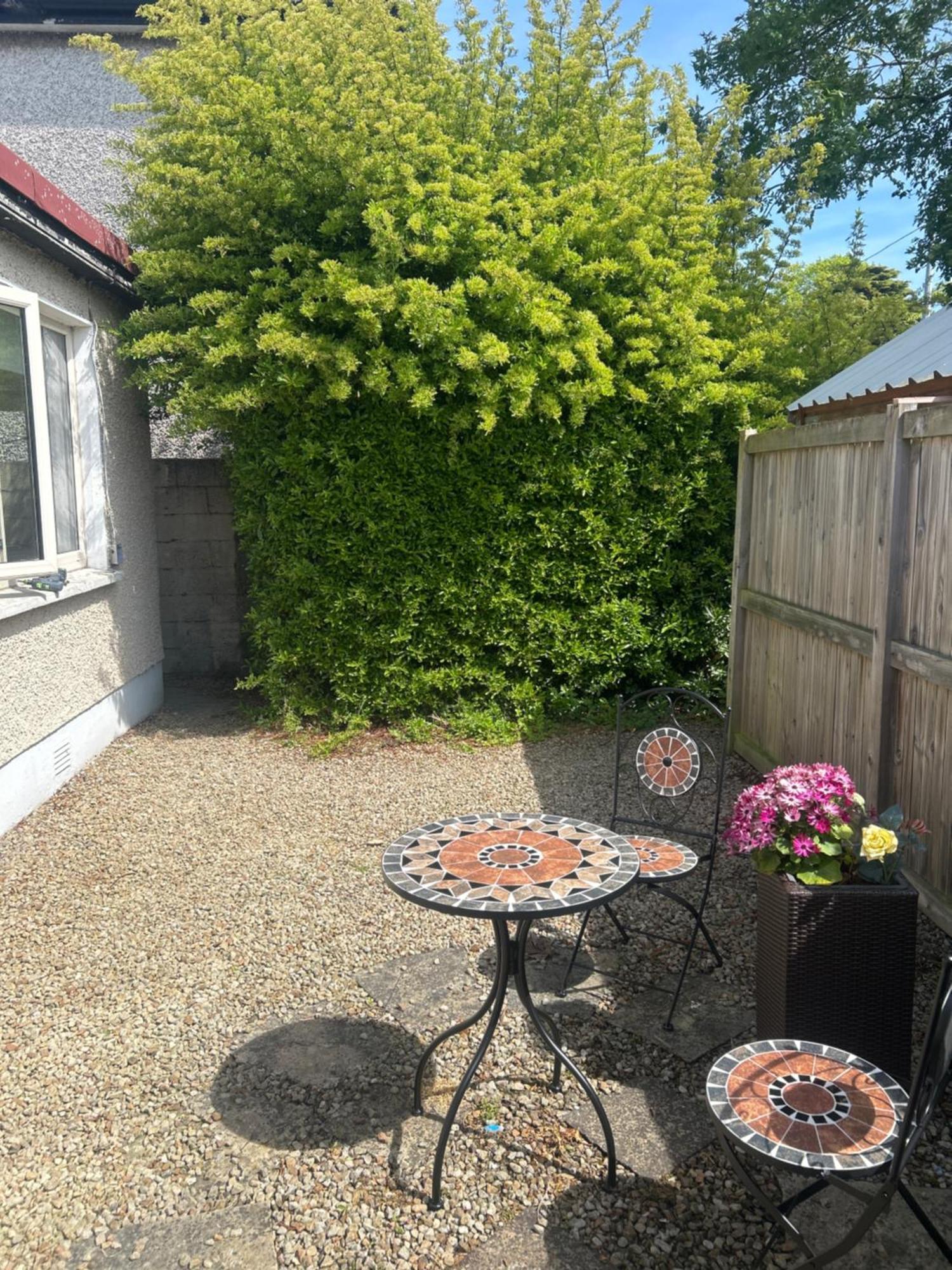 Small, Perfectly Formed Appartement Dublin
