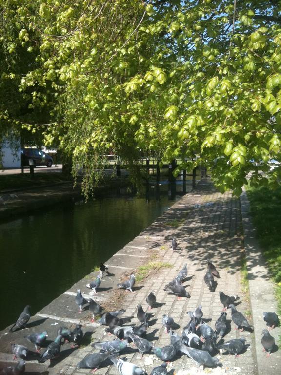 Acara House Dublin