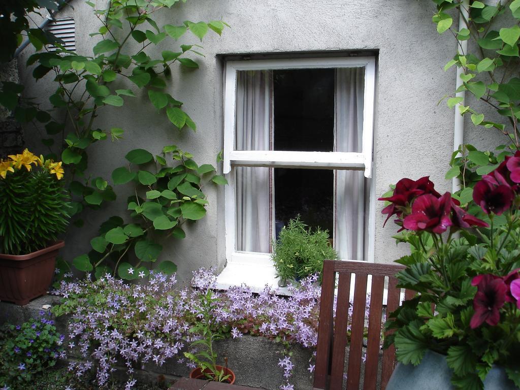 Harrington House Hostel Dublin