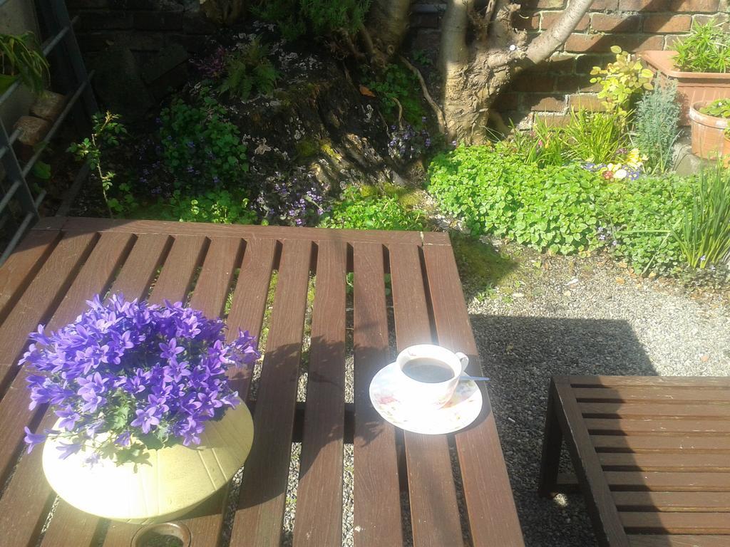 Harrington House Hostel