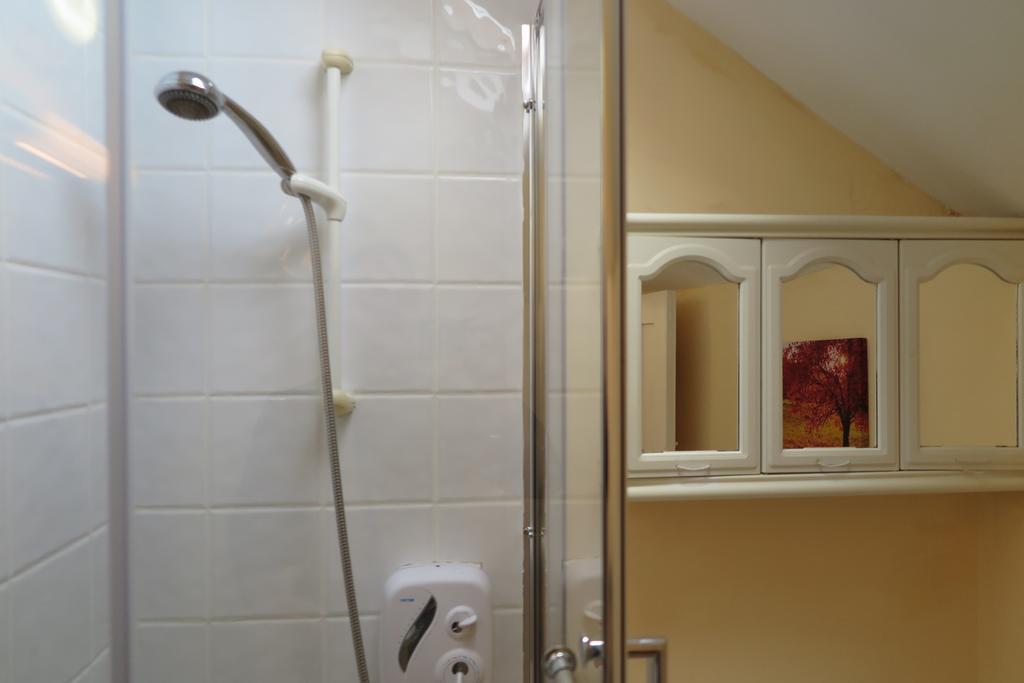 The Viking's Place. Apartment Dublin