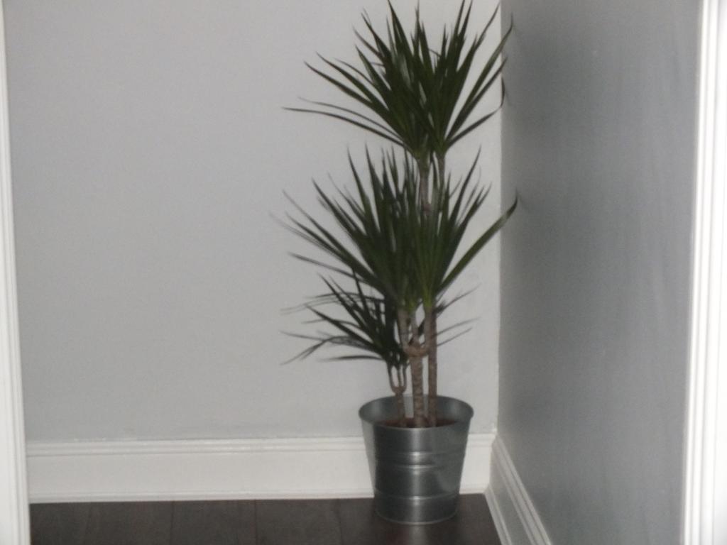 Central Dublin Apartment *