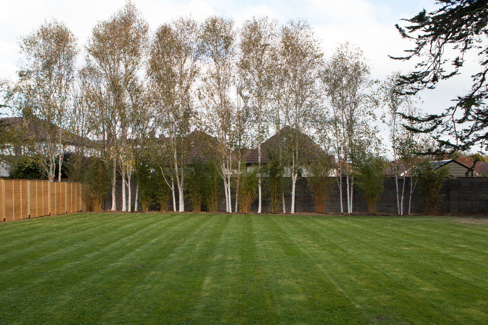 Guest house Merrion Road - Ballsbridge Townhouse 3*