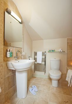 Hotel Rosedale House