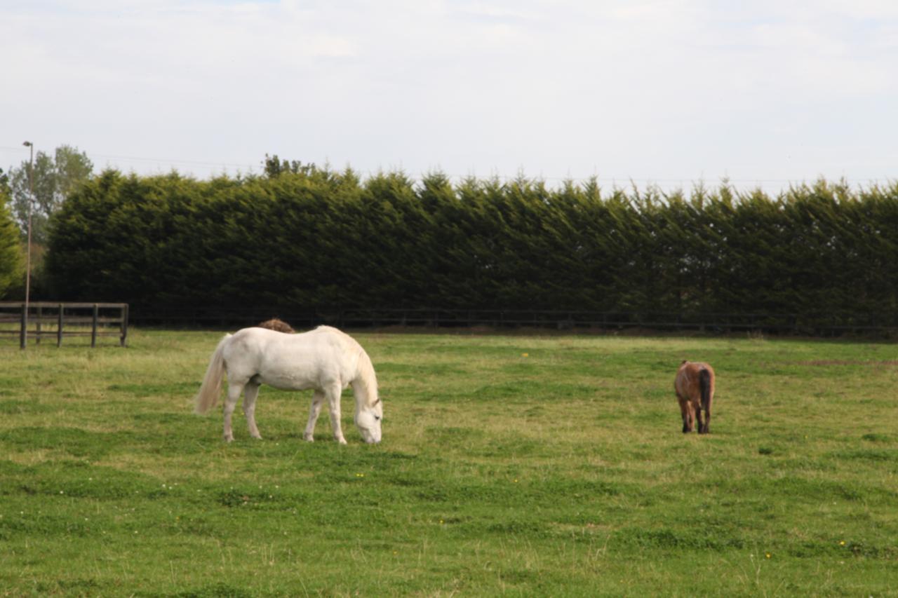 Pebble Mill 3*