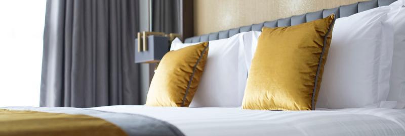 Iveagh Garden Hotel Dublin