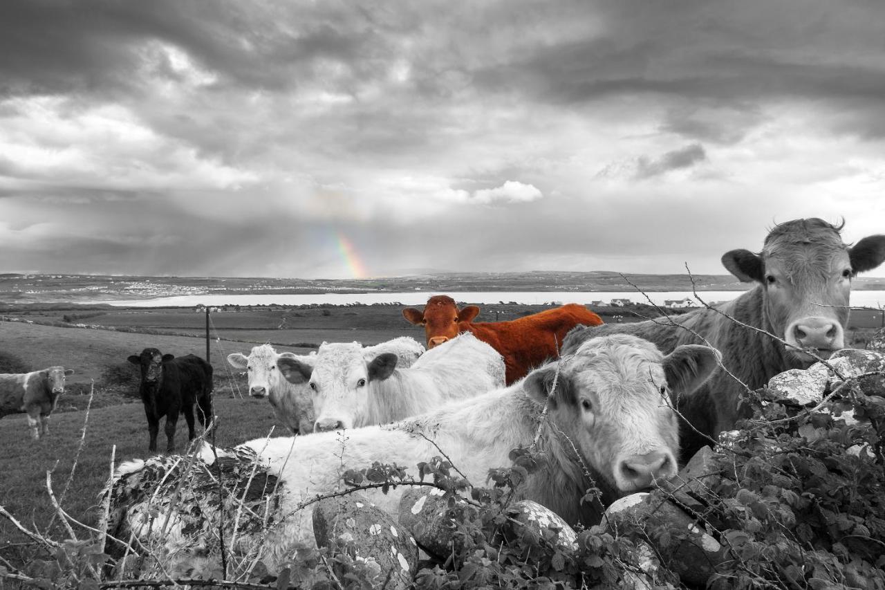 Red Cow Moran 4*