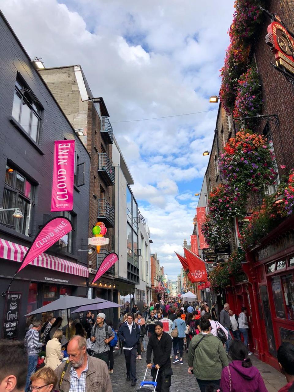 Deluxe Double In Modern Close To Rds & Centre Bed & Breakfast Dublin