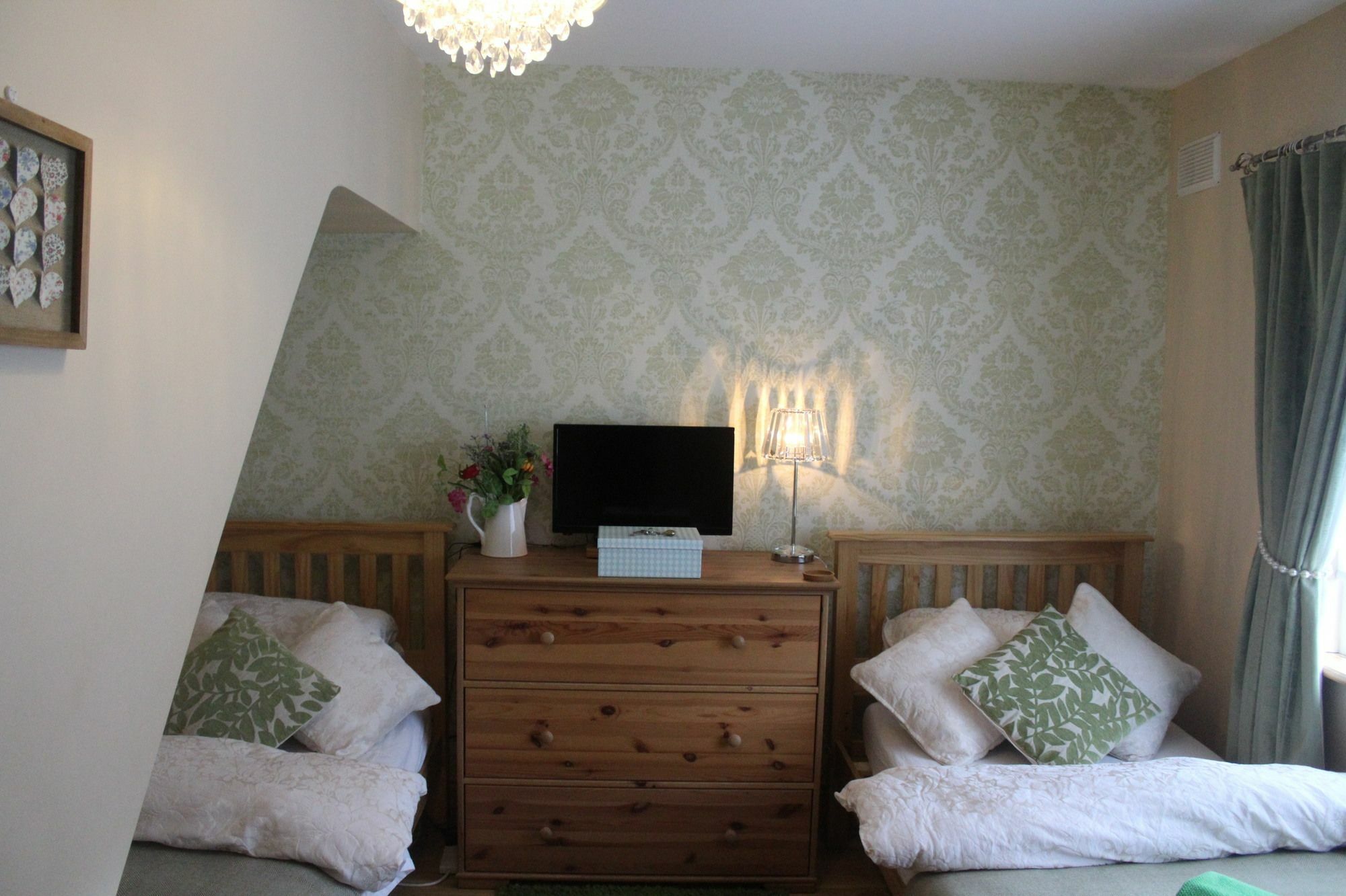 Homestay Irish Family In