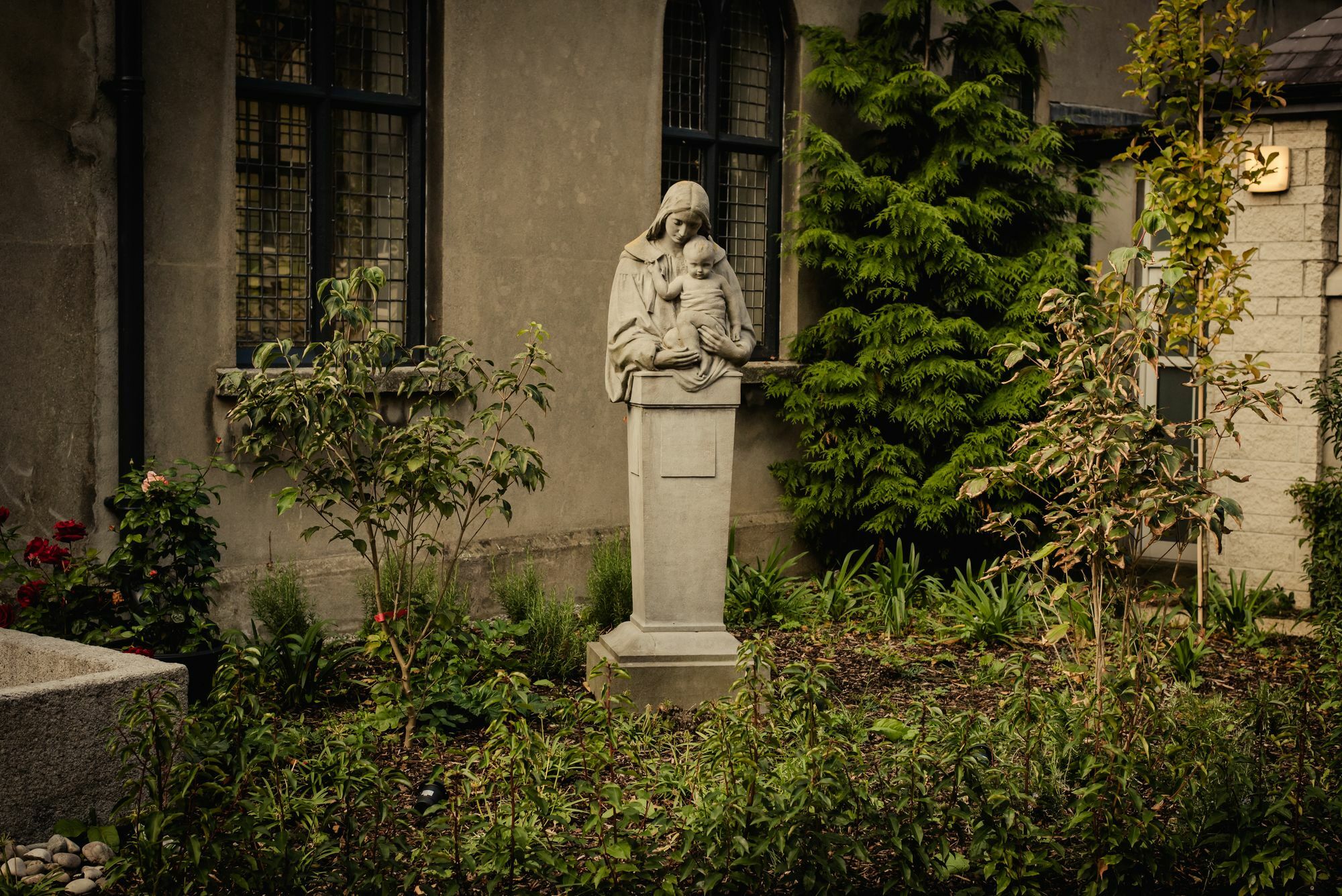 Dcu Hallows Dublin