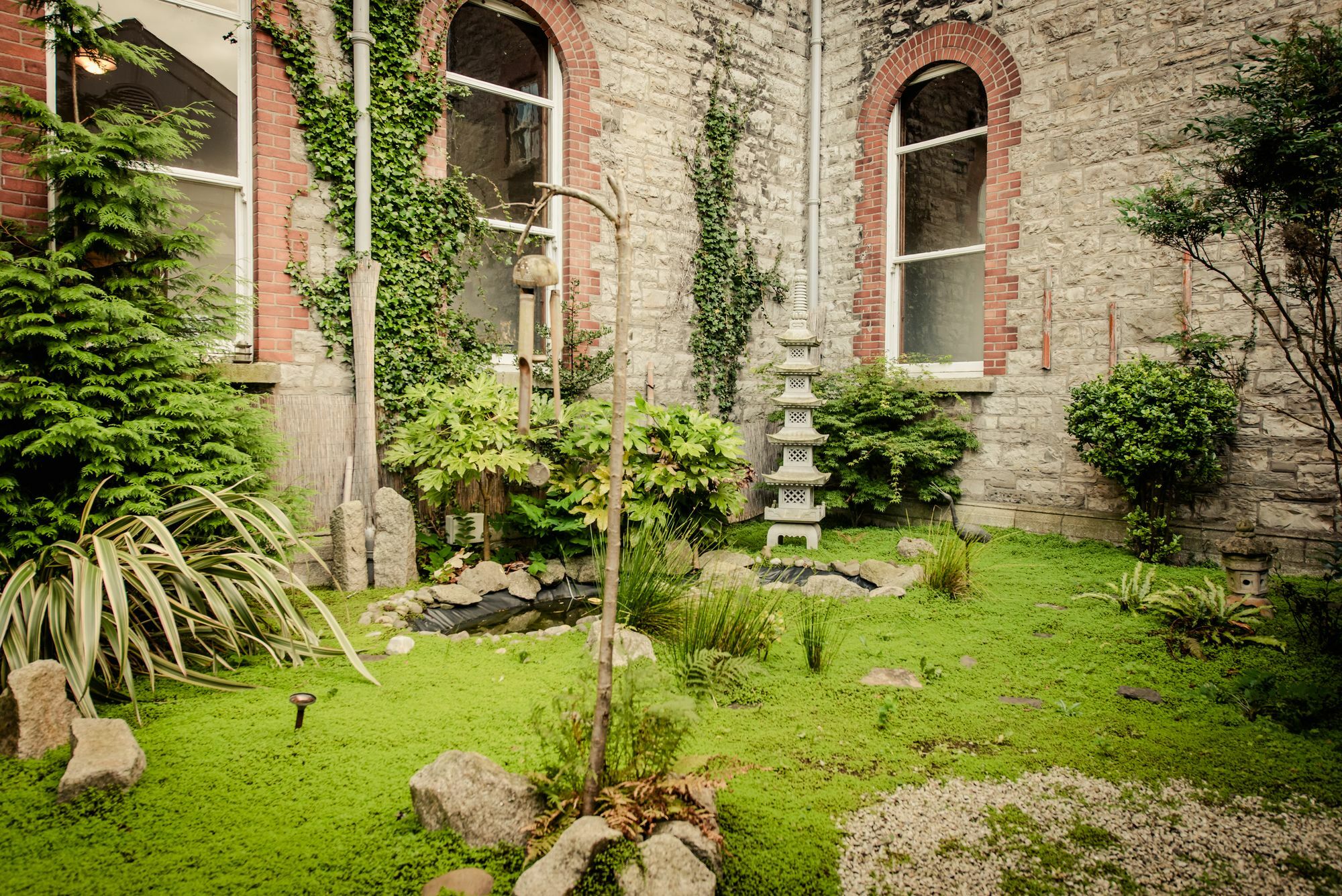Dcu Hallows Dublin