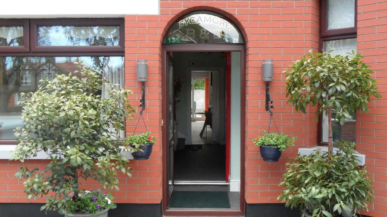Sycamore House Dublin