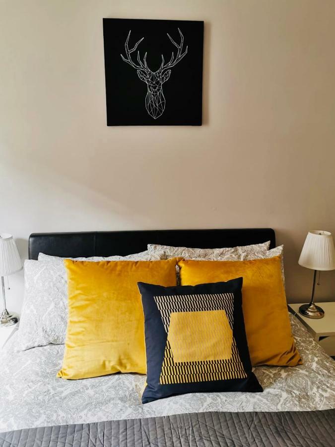 City Centre Georgian Style Apartment Apartment Dublin