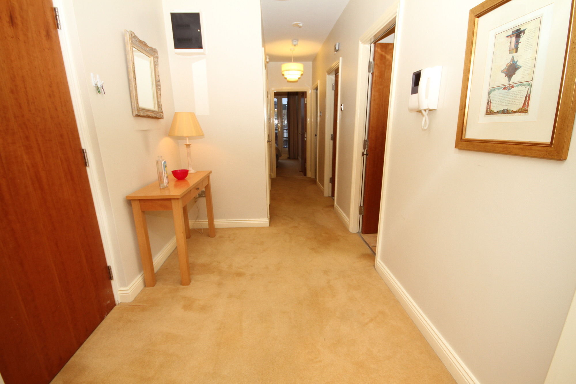 Lower Baggot Street Penthouse Apartment *