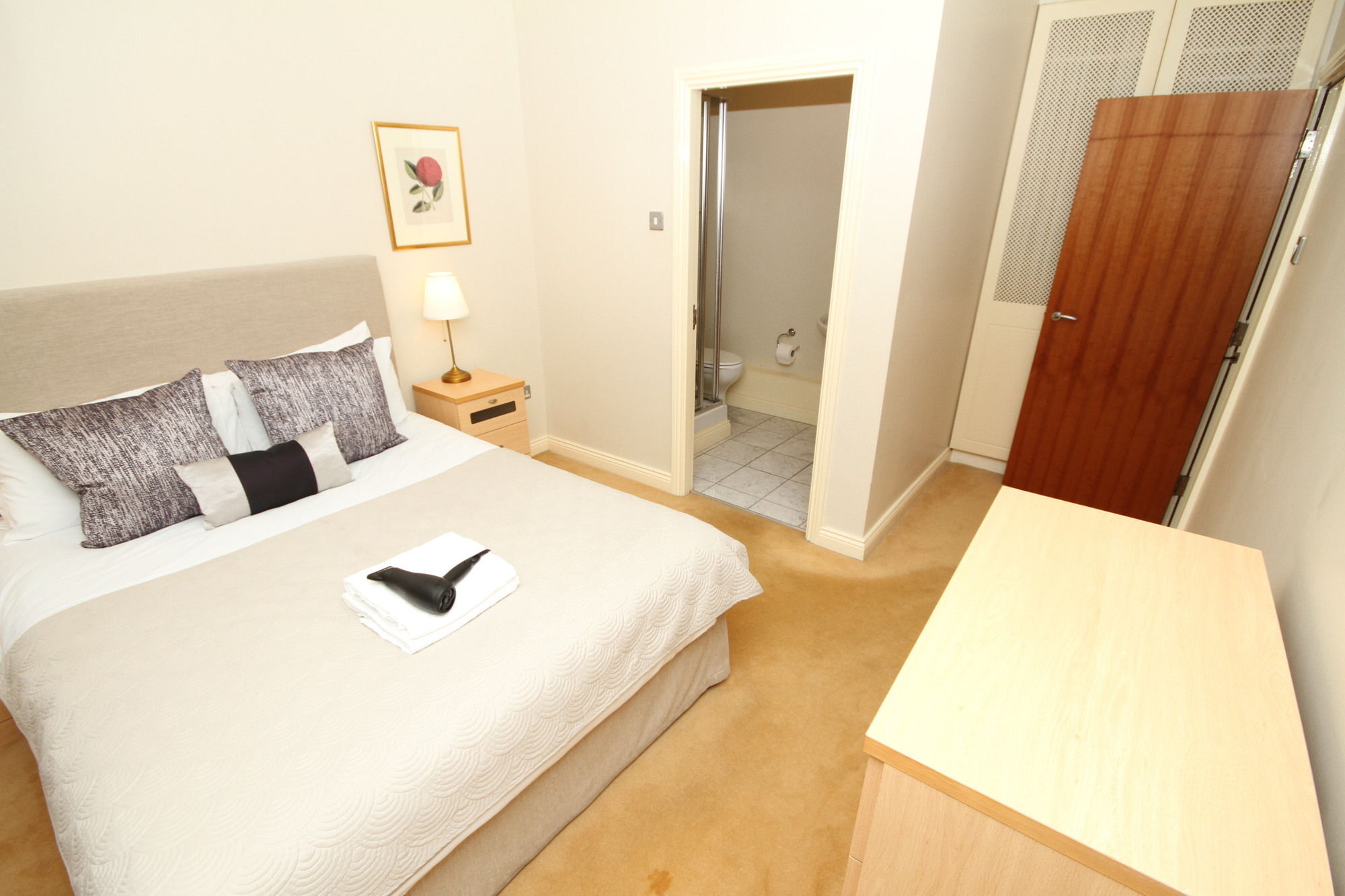 Lower Baggot Street Penthouse Apartment *