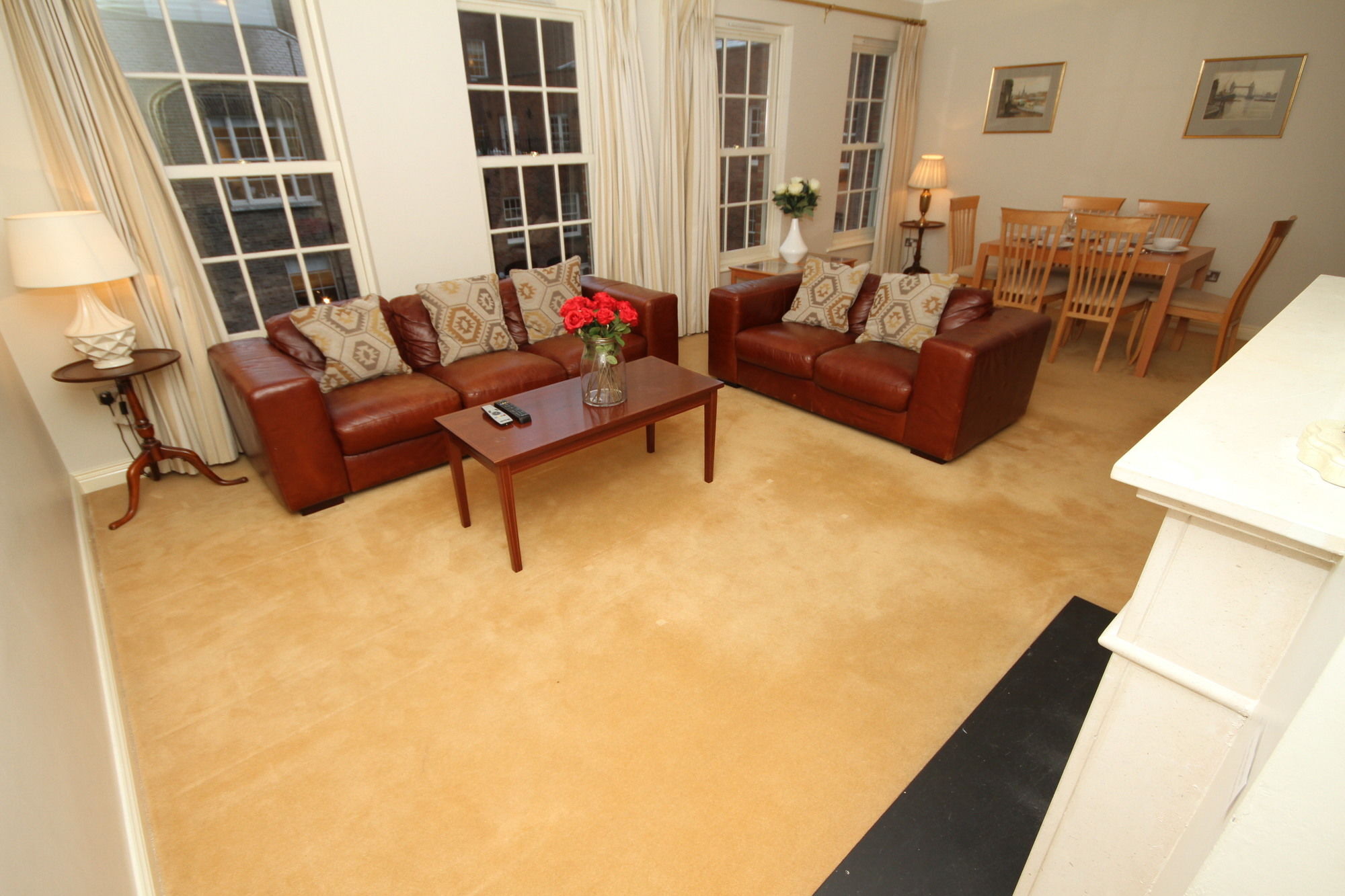 Lower Baggot Street Penthouse *