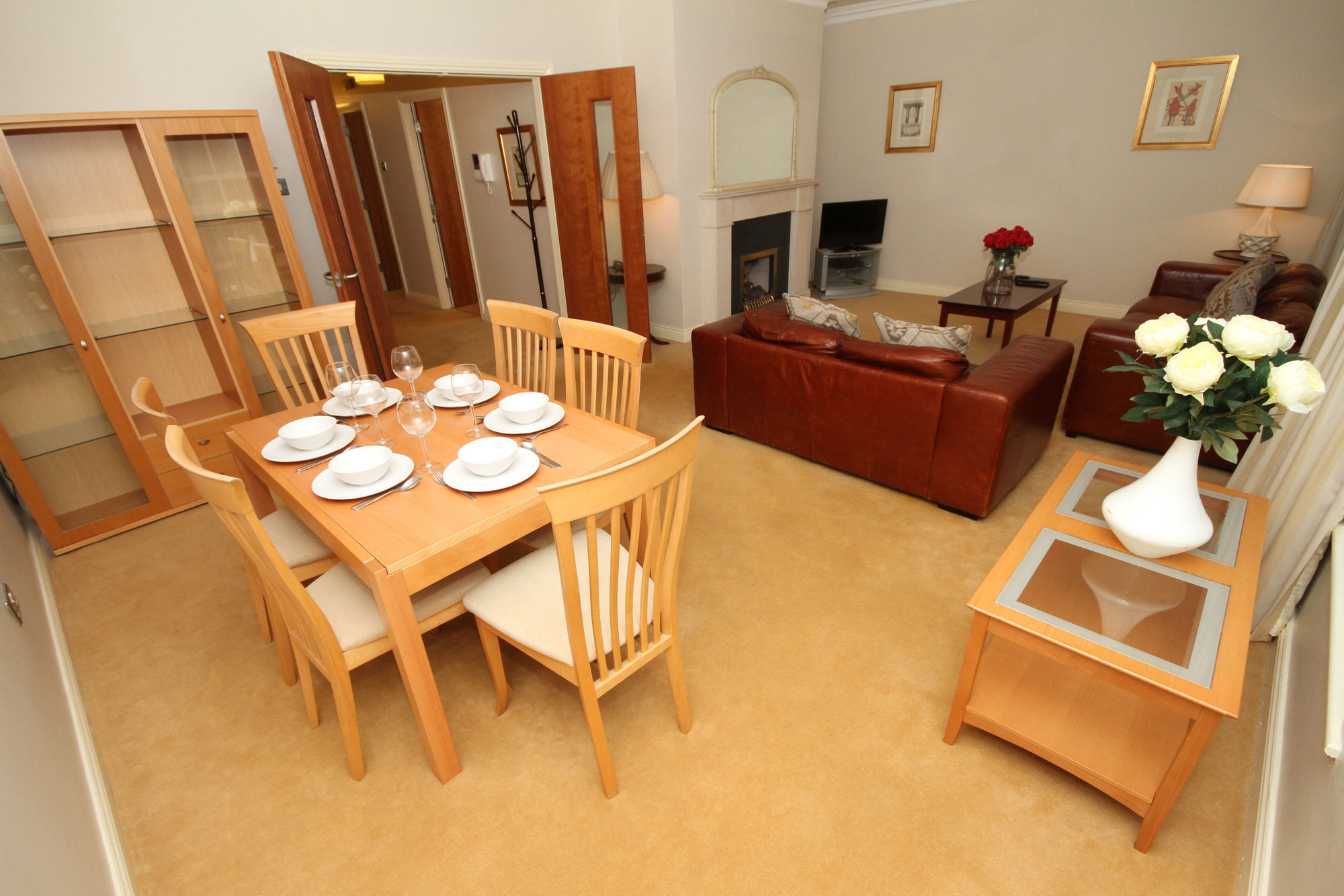 Lower Baggot Street Penthouse Apartment *