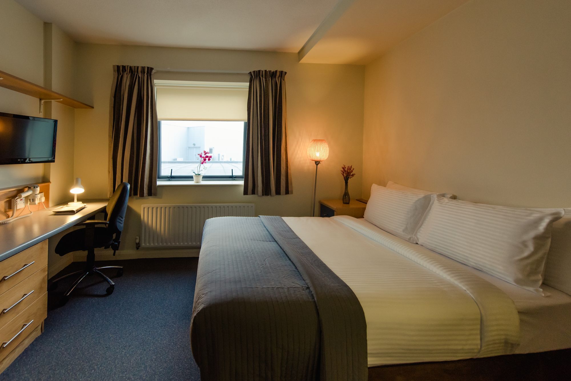 Dcu 3* Dublin